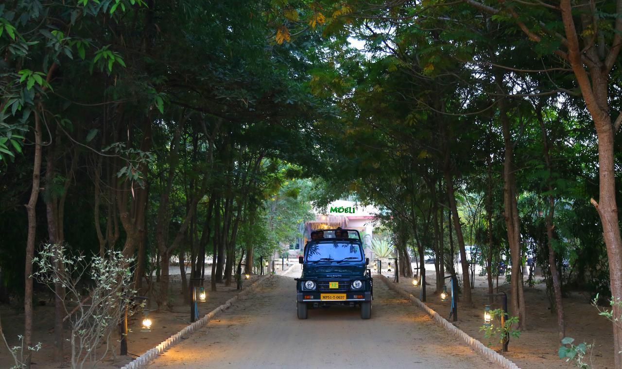 Mogli Resort Kanha Kānha Exterior foto